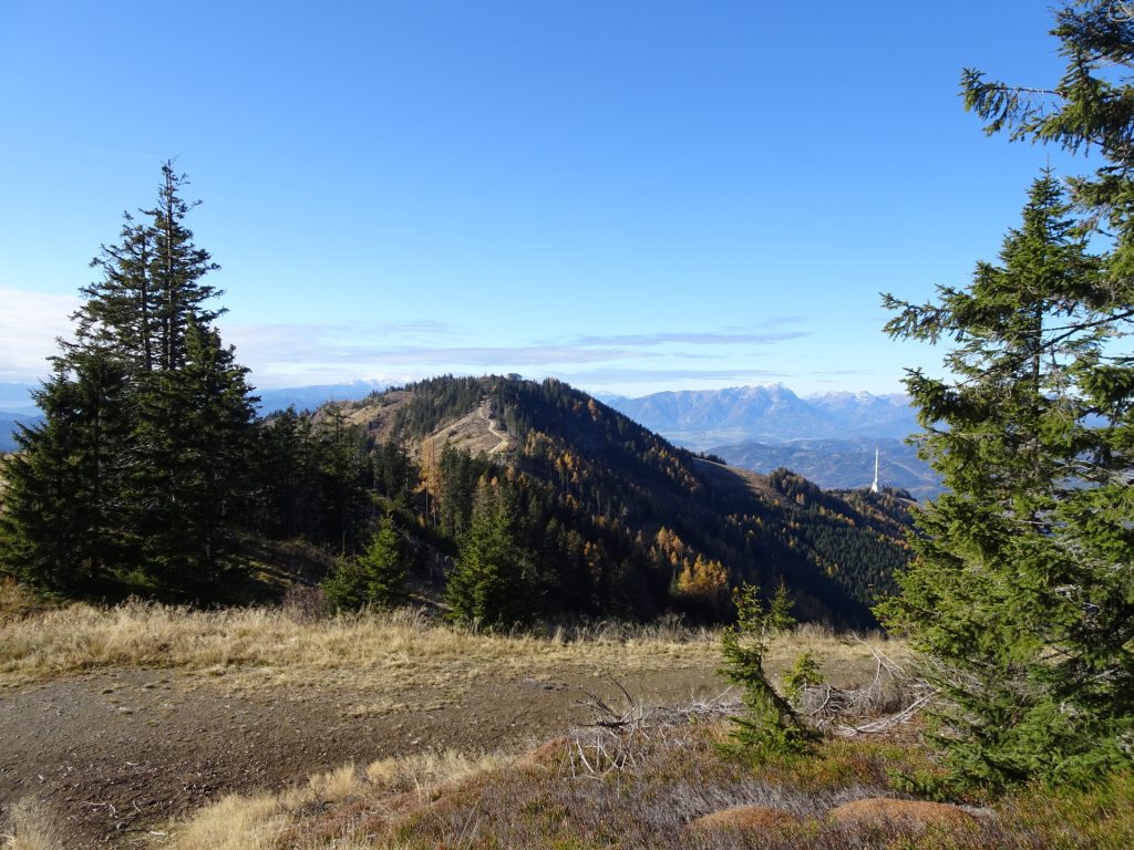 Towards "Mugel"