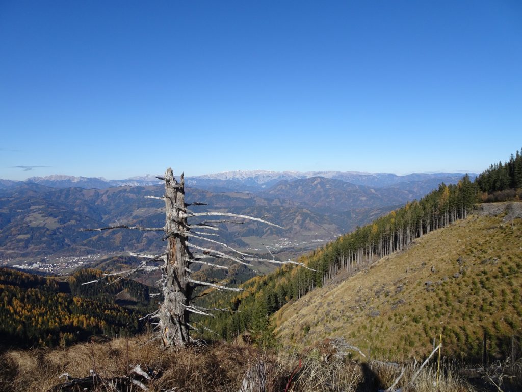 View from the trail towards "Mugel"