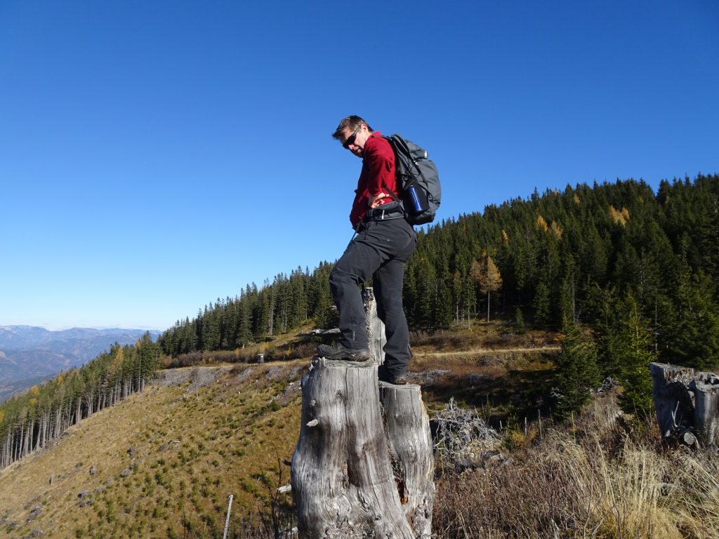 Robert tries to get a better view