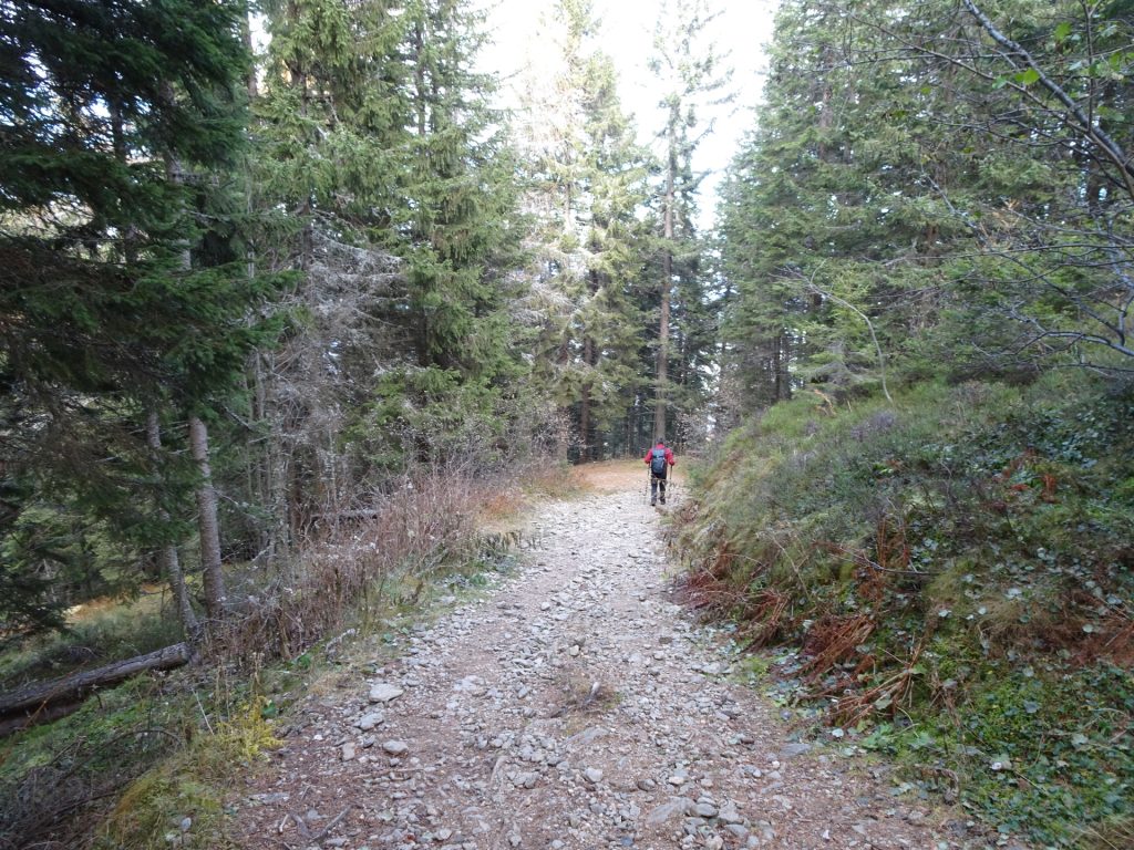 Robert descends towards the antenna