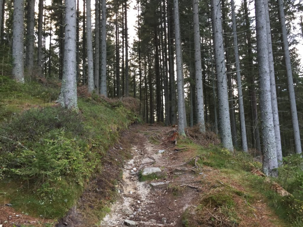 Trail up towards "Roseggers Geburtshaus"