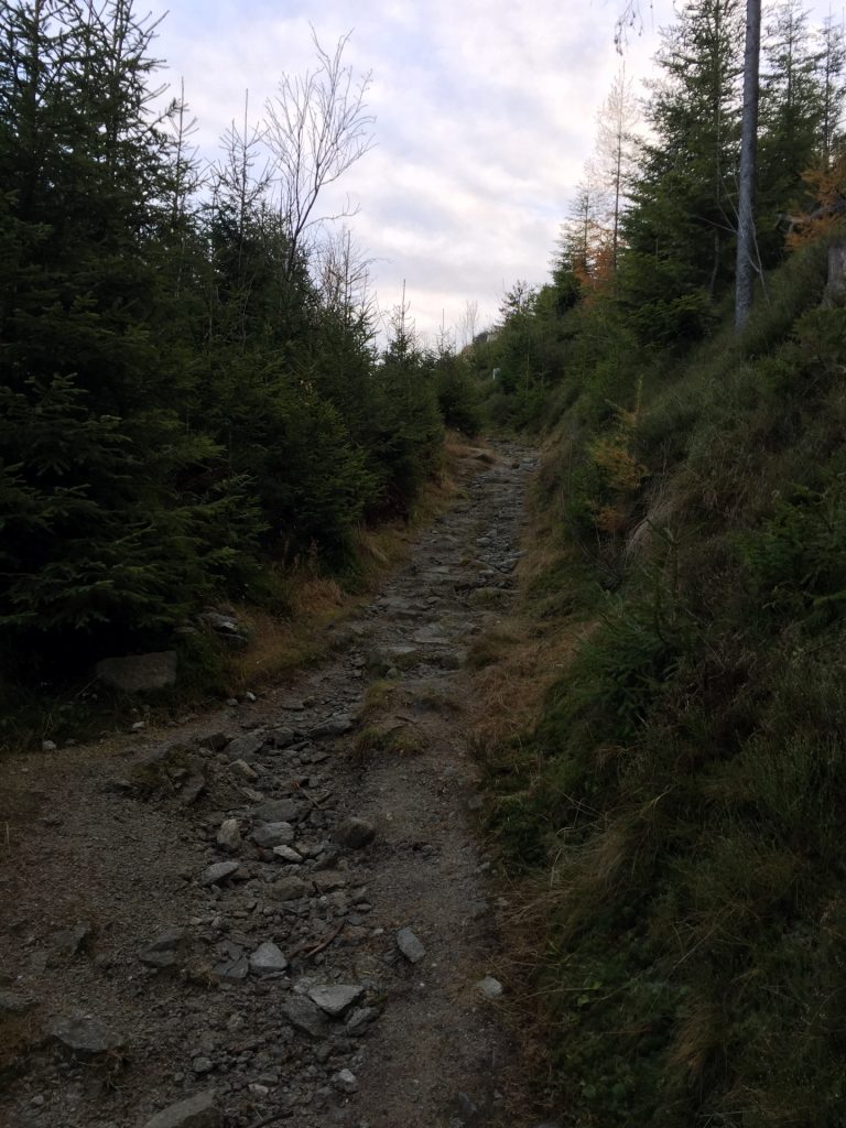 Trail up towards "Roseggers Geburtshaus"