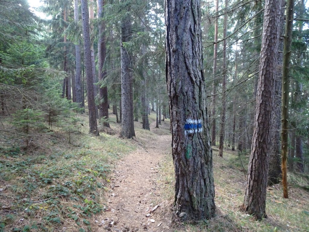 Following the white-blue-white marked trail towards "Westgrat"