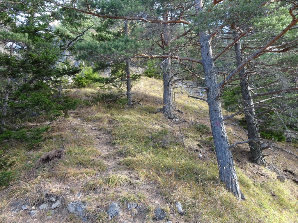 Trail to "Westgrat"