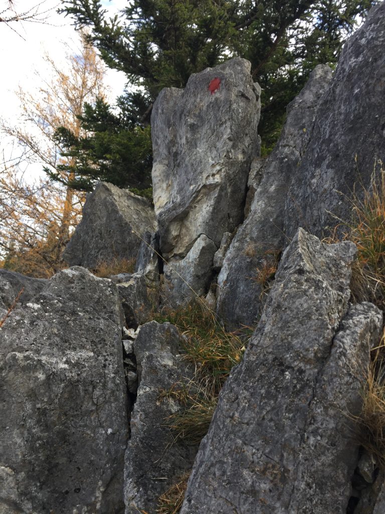 On the "Westgrat" climbing route (follow the red dots)