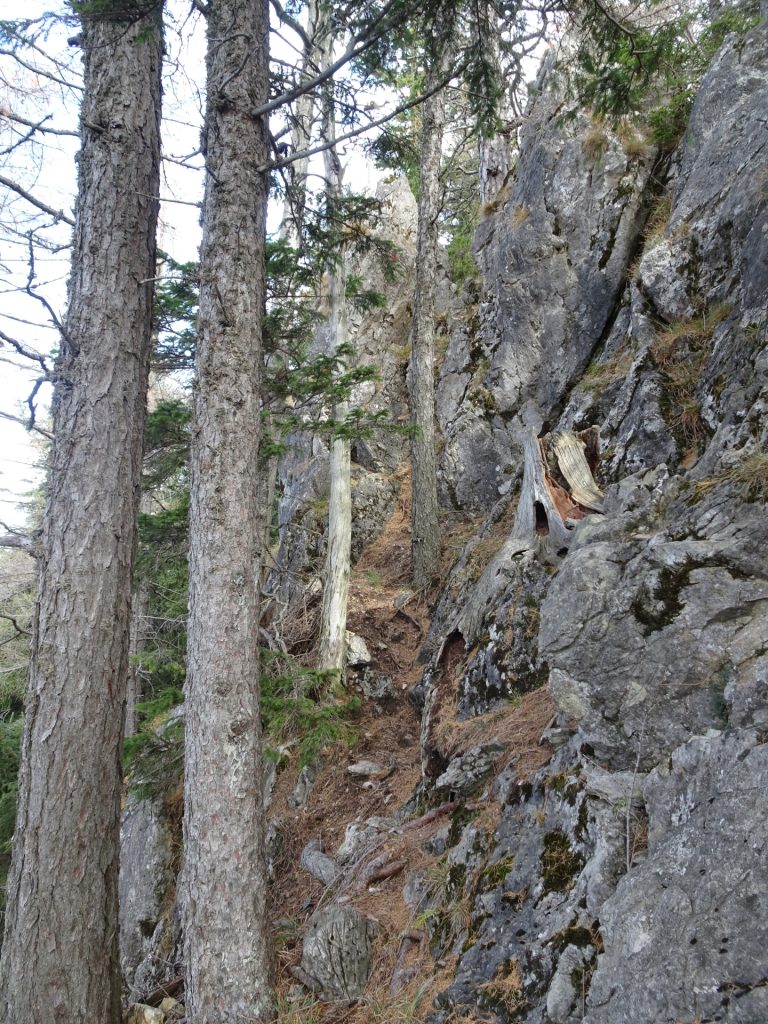 On the "Westgrat" climbing route