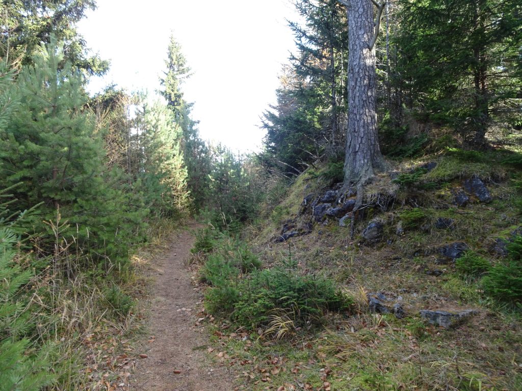 Trail towards "Großer Otter"