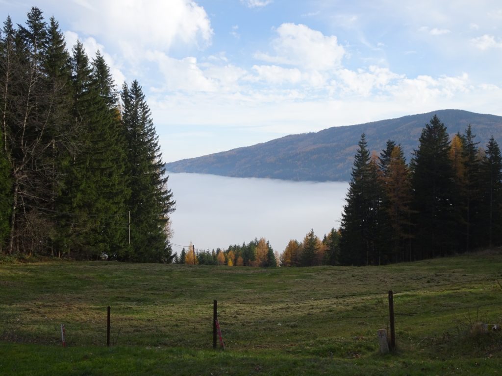 View from "Kummerbauerstadl"
