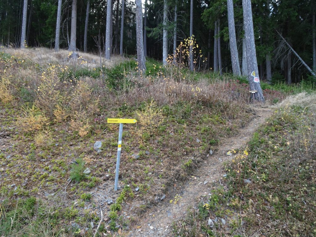 Follow the white-yellow-white marked trail towards "Feistritzsattel"