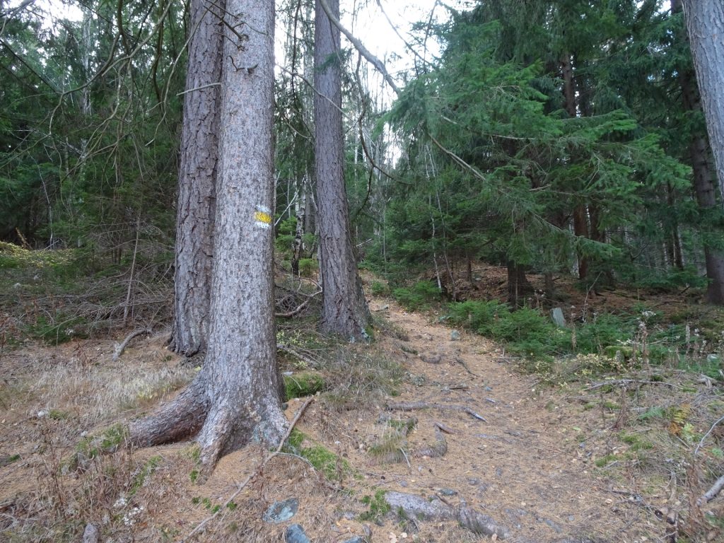 Follow the white-yellow-white marked trail towards "Sonnwendstein"