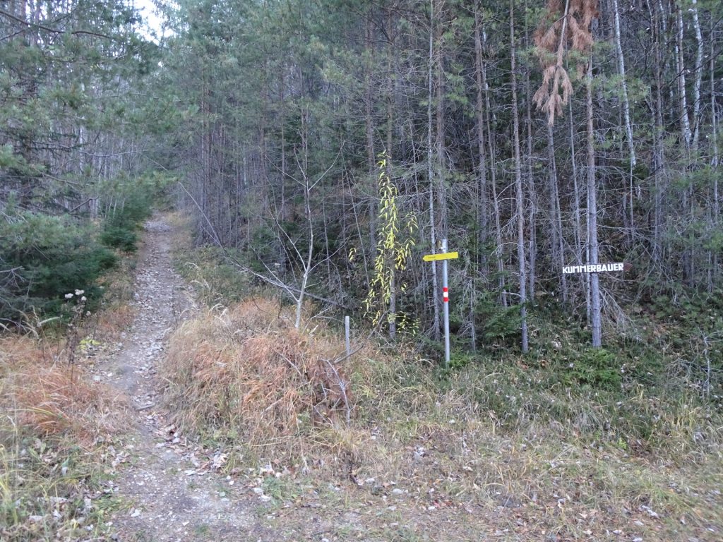 On the trail towards "Schanzkapelle"