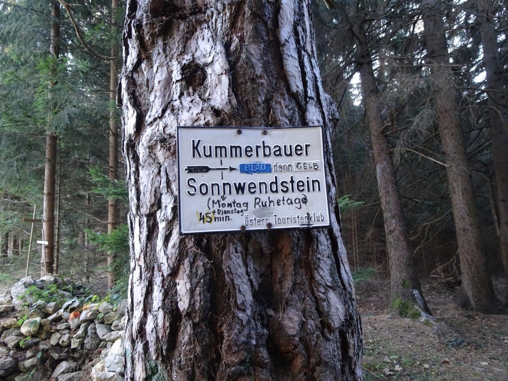 Follow the blue marked trail towards "Kummerbauer"
