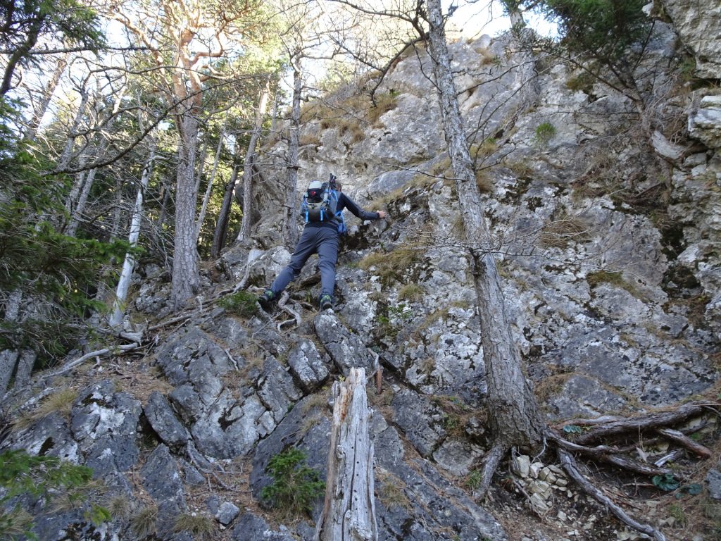 Stefan climbs up the "Westgrat"