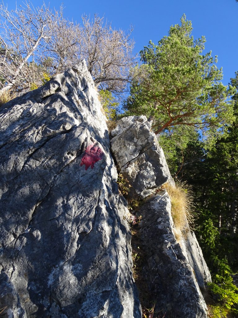 The crux of "Westgrat" climbing route