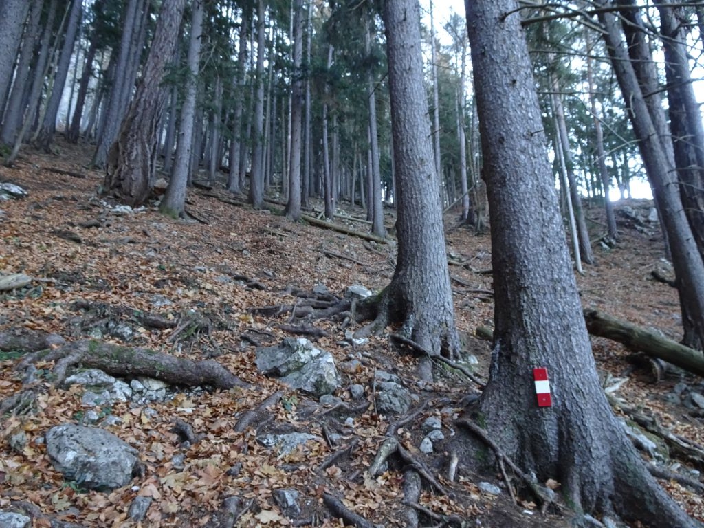 Follow the red-white-red markings towards "Drachenhöhle"