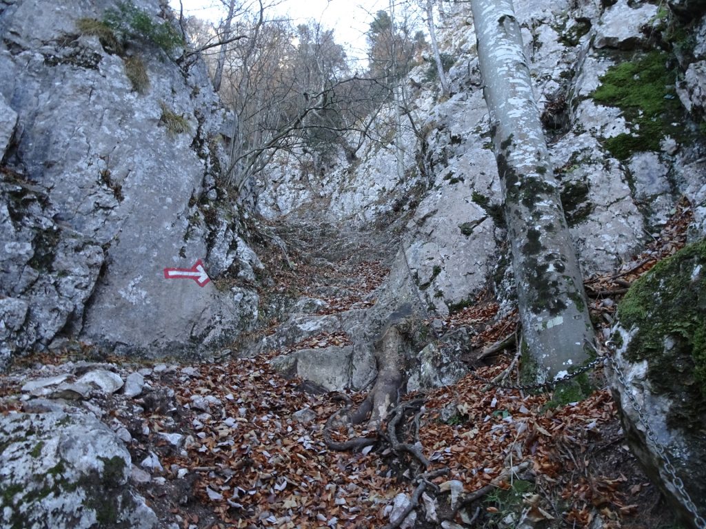 The easy via ferrata towards "Drachenhöhle"