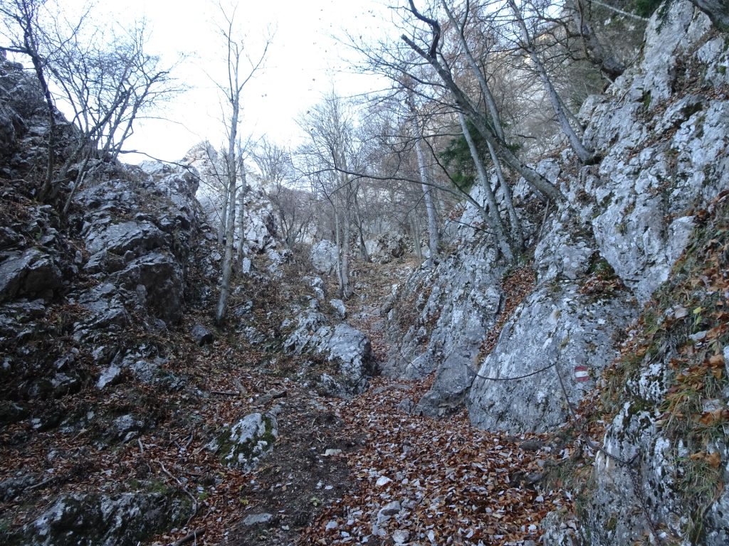 The easy via ferrata towards "Drachenhöhle"