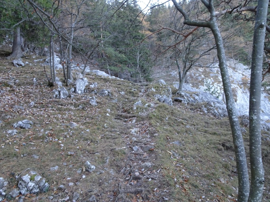 Following the unmarked trail towards "Röthelstein"