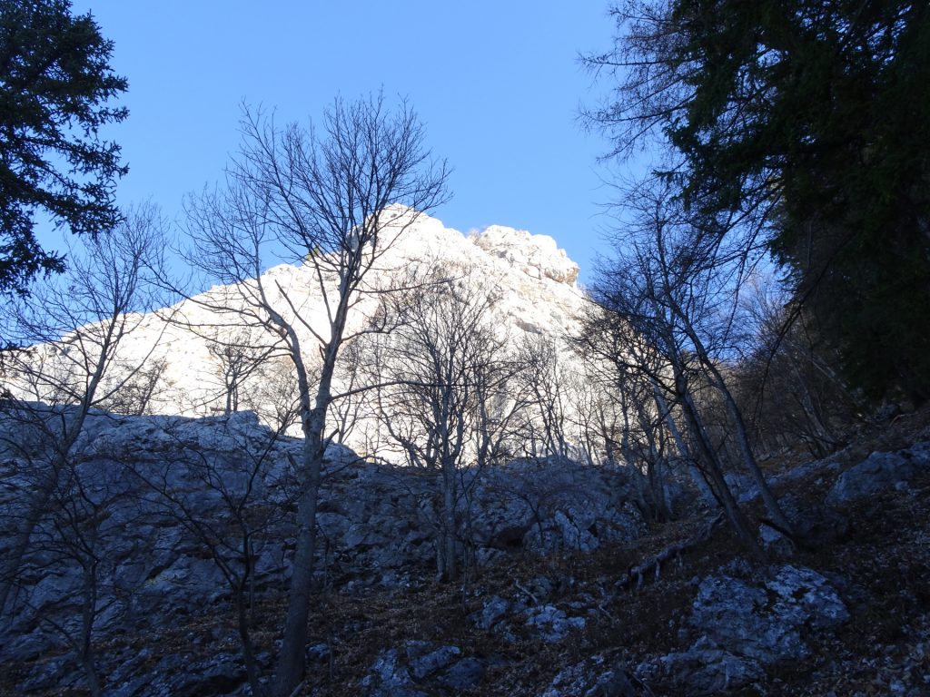 Following the unmarked trail towards "Röthelstein"