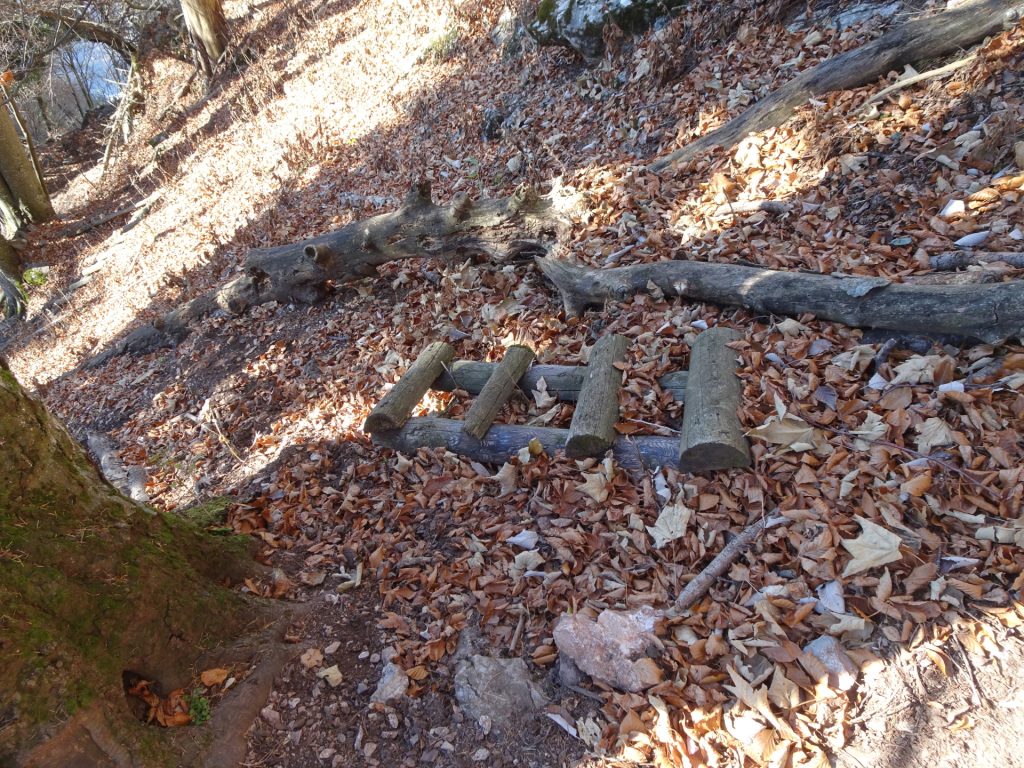 Left-overs from the former trail