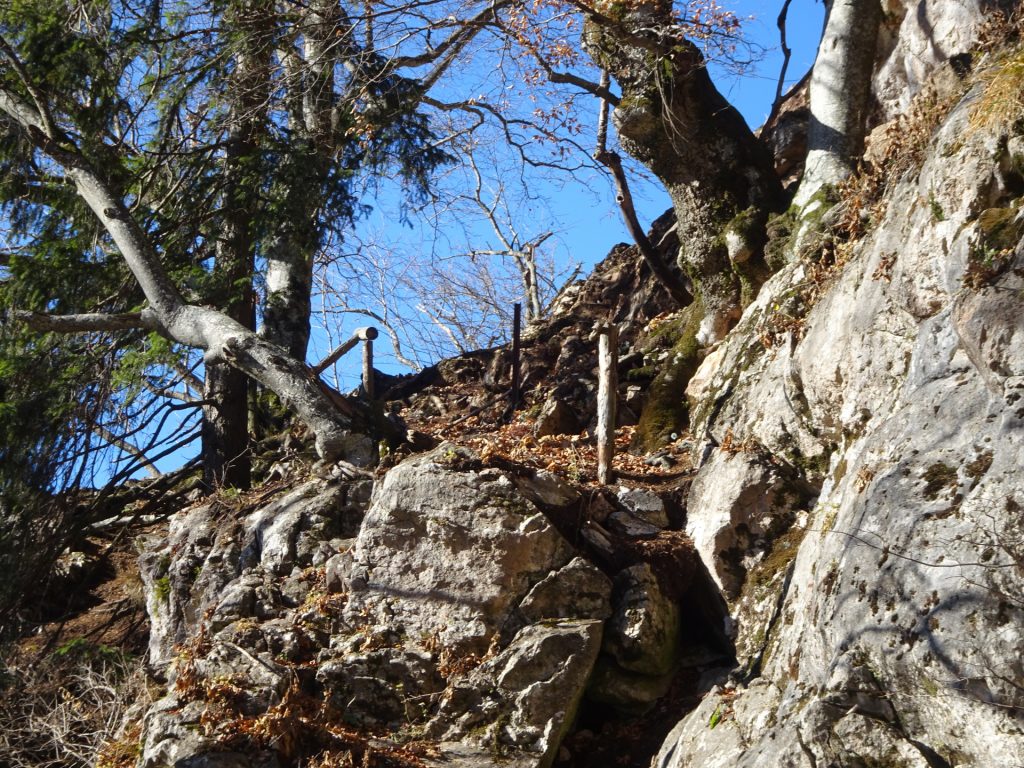 The abandoned trail