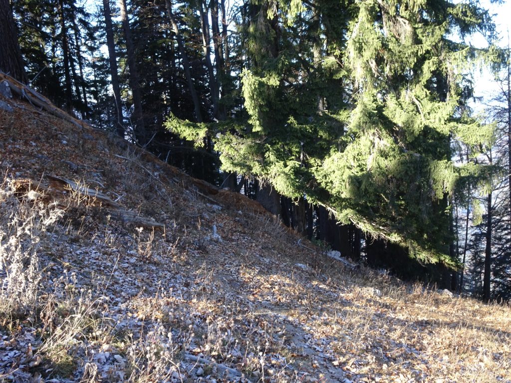 Follow the trail towards the viewpoint