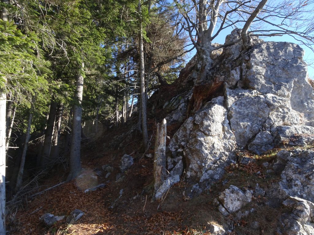 Along the ridge towards "Röthelstein" (follow the "erased" markings)