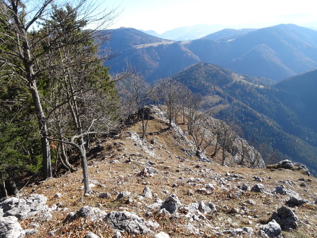 Towards the viewpoint of "Röthelstein"