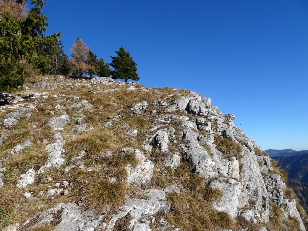 On the scenic trail along the ridge towards "Rote Wand"