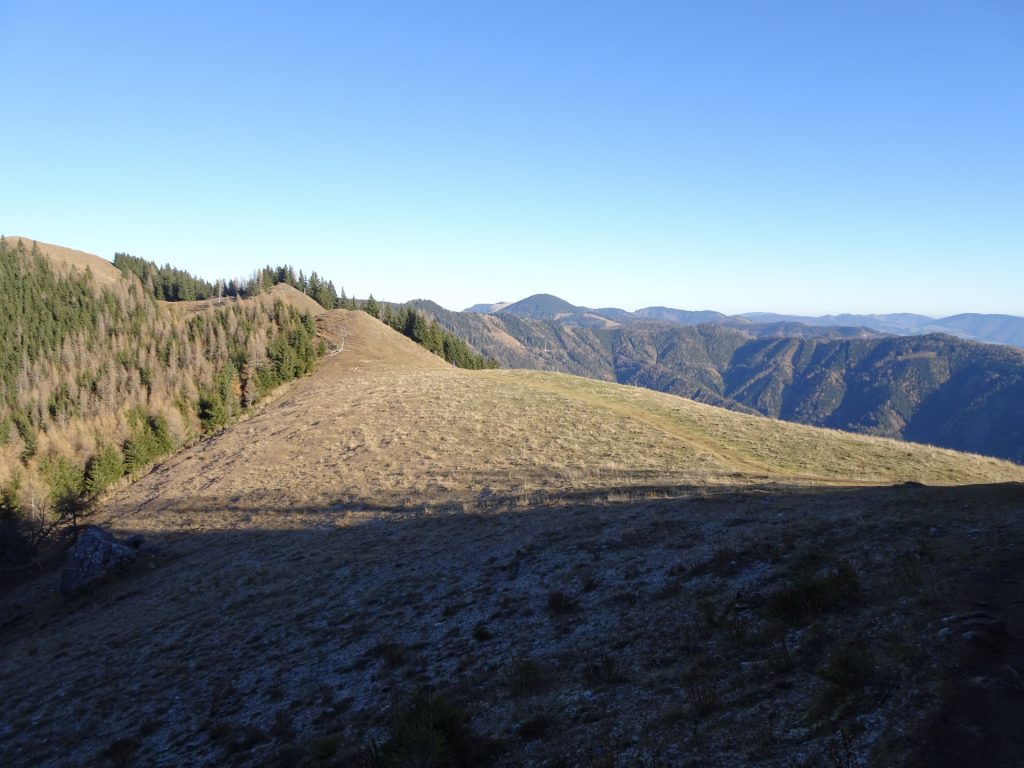 Towards "Tyrnauer Almhütte"