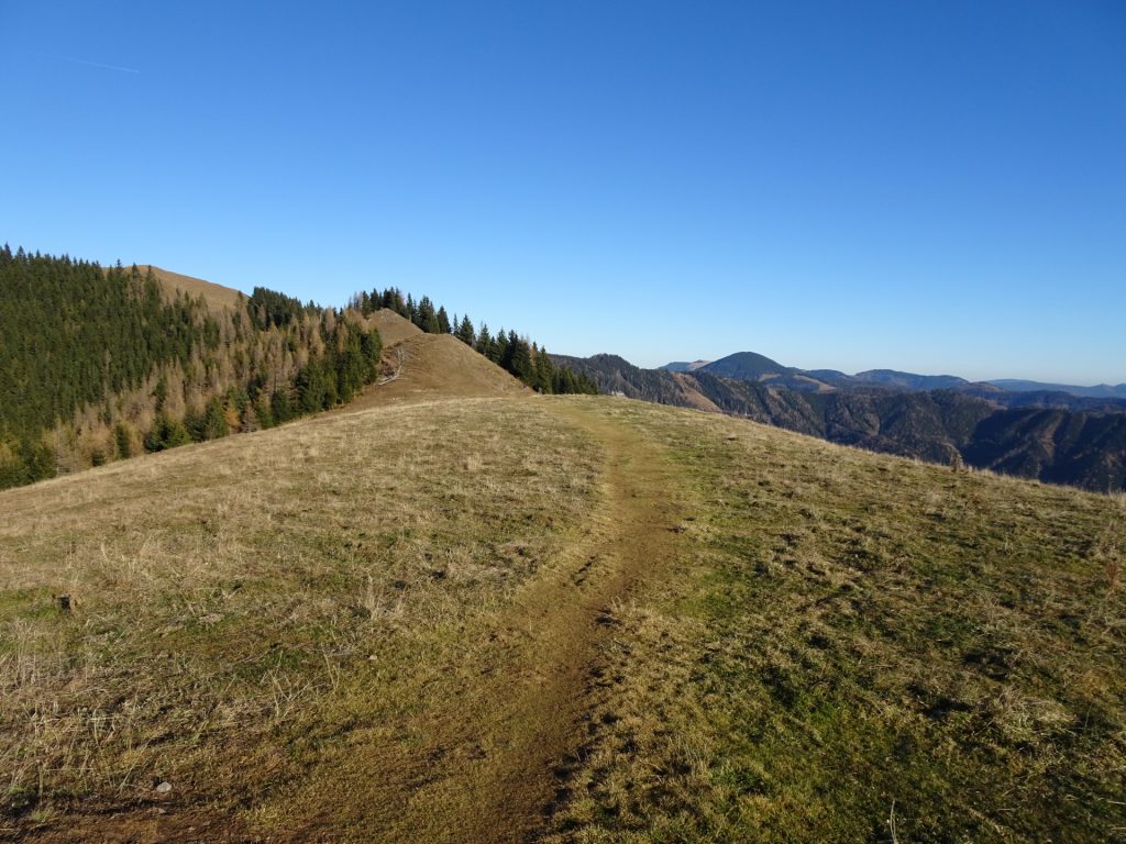 Towards "Tyrnauer Almhütte"