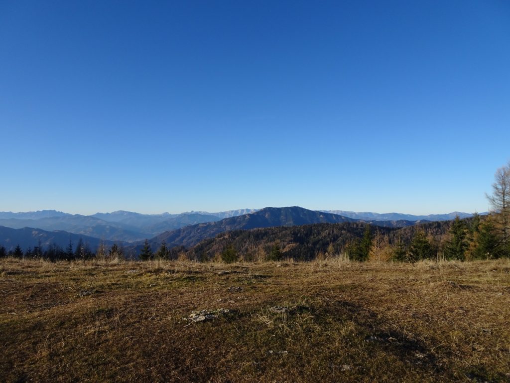 View from the saddle on the way back