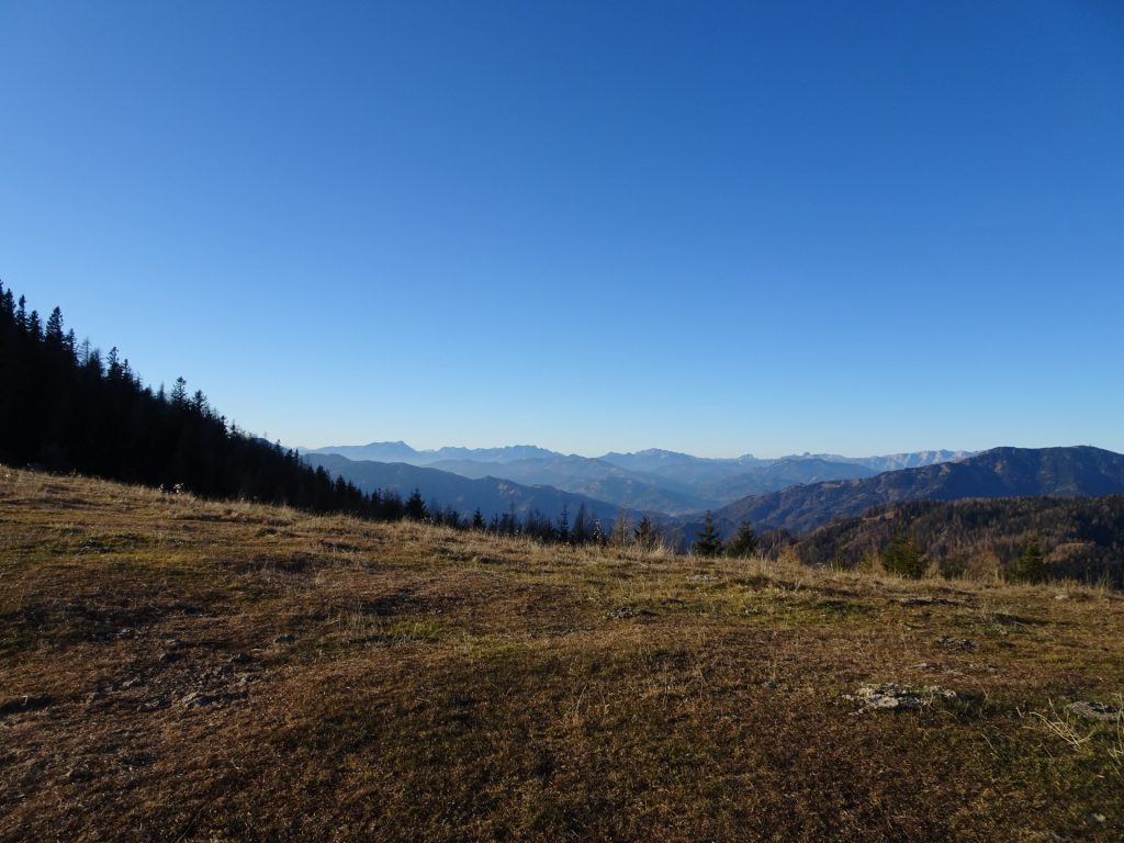 View from the saddle on the way back