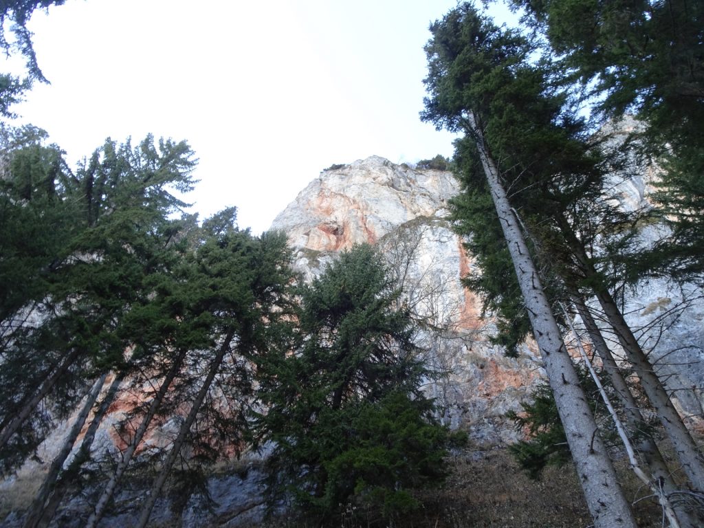 Along the "Rote Wand" wall