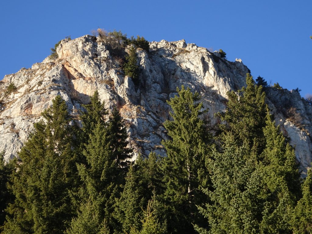 View up to "Rote Wand"