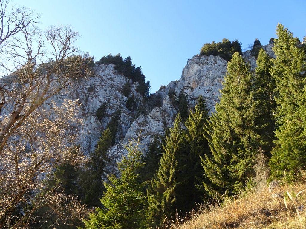 View up to "Rote Wand"