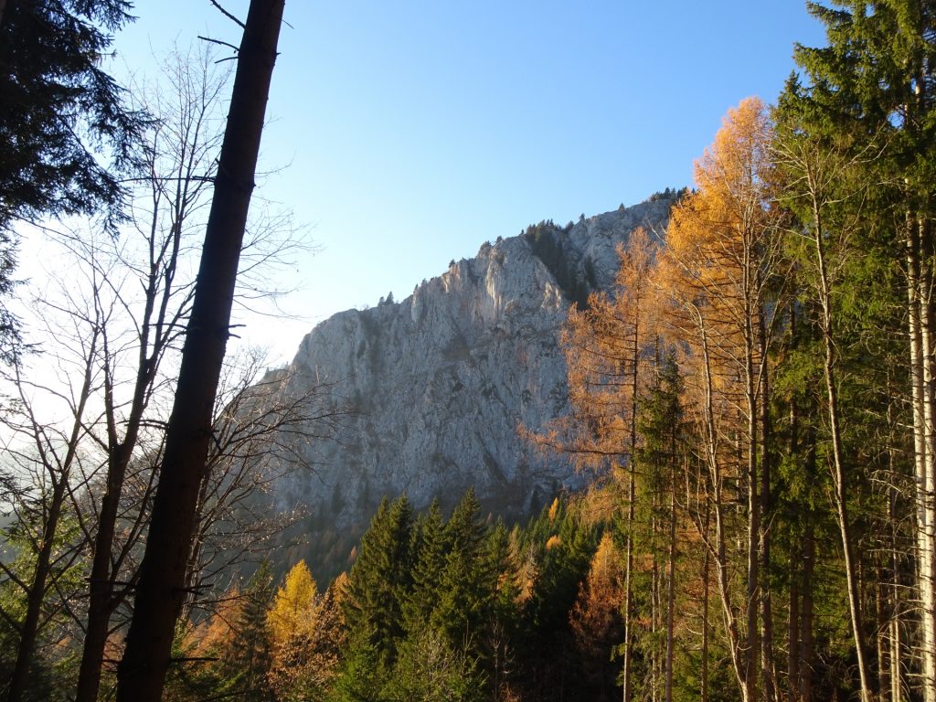 View from the trail back to "Mixnitz"