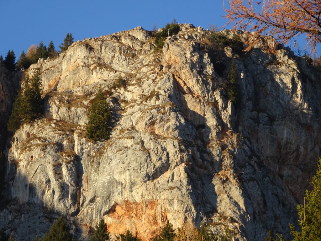 View up to "Rote Wand"