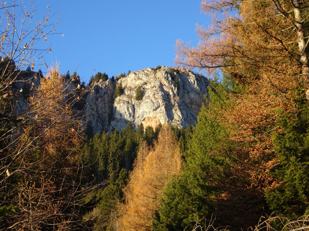 View up to "Rote Wand"