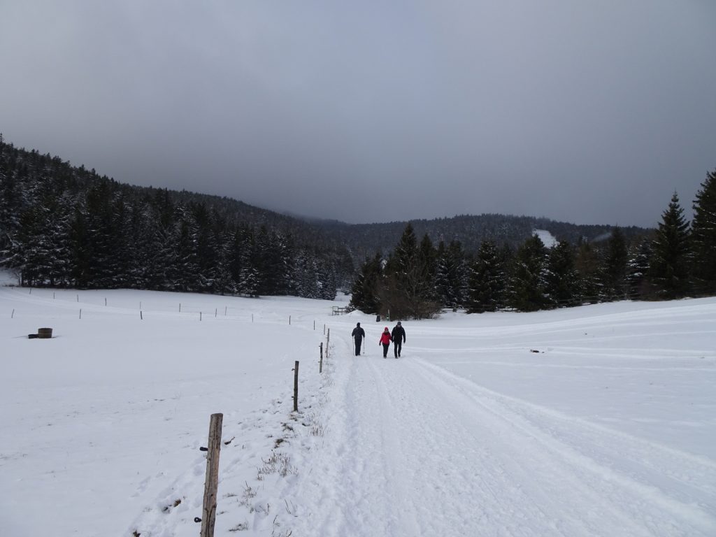 Trail towards "Gasthof Luf"