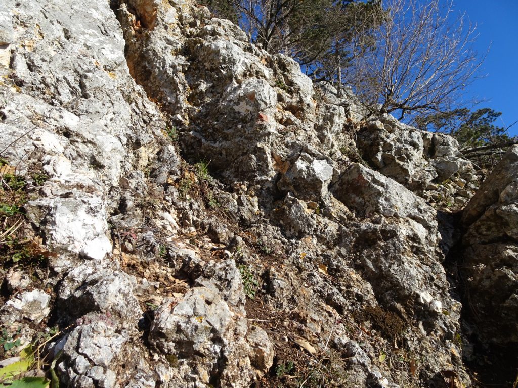 Climbing up "Überbrücklsteig" (UIAA I+)