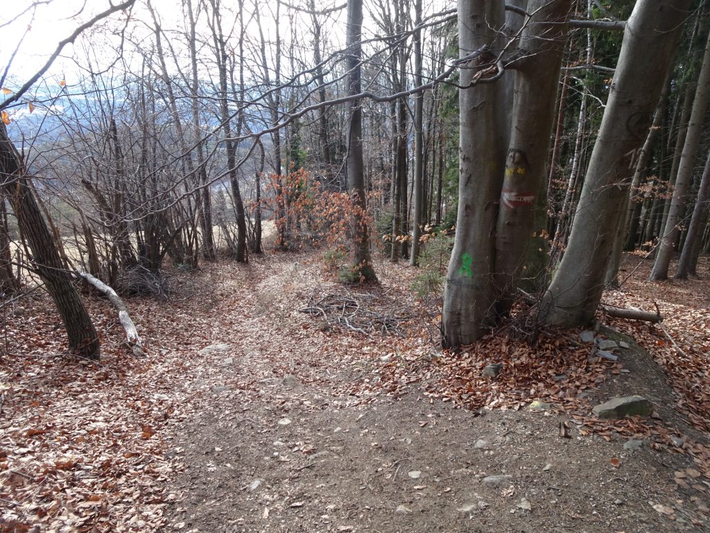 Follow this trail towards "Ackerwirt"