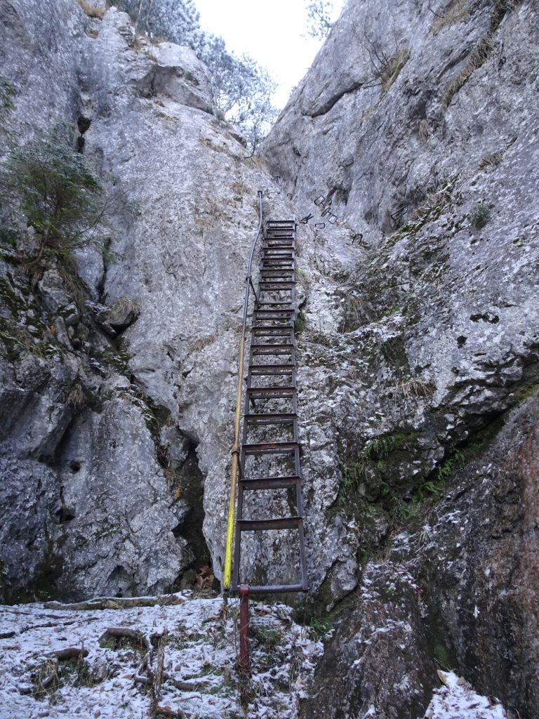 Climbing up the "Kleine Klause" via ferrata