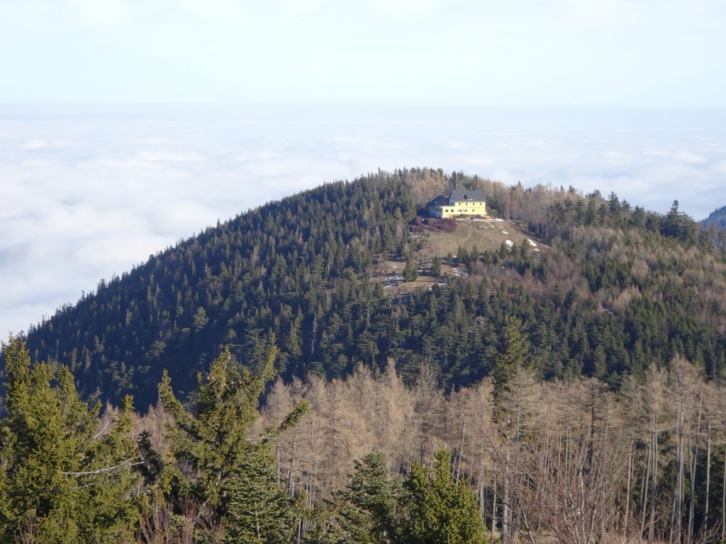The "Waldeggerhaus" seen from the viewing platform