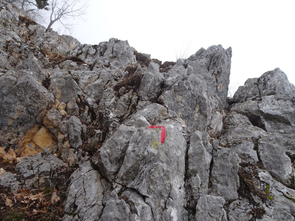 Climb up "Krumme Ries" (follow the red markings)