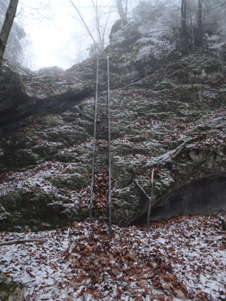 A long iron ladder at "Große Klause"