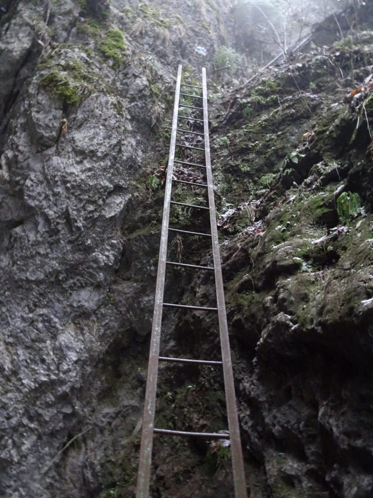 Another long ladder in "Große Klause"