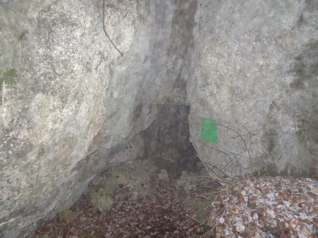 Looking into the cave