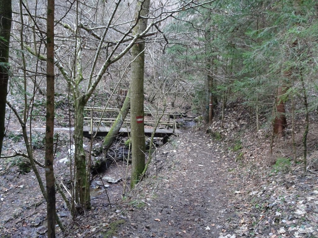 Trail towards "Novystein"