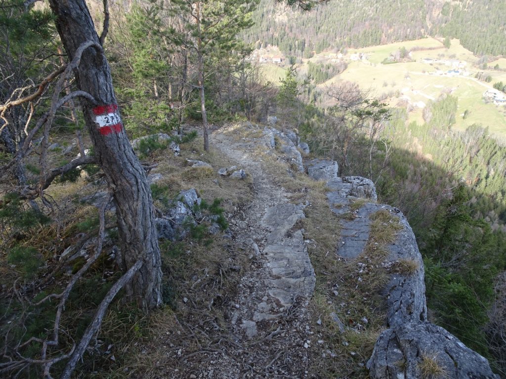 The hiking trail along the ridge at "Fürwallnerhöhe"